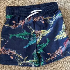 Shark swim trunks